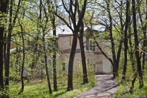 Co kryje się w lesie Szyłowskim – opuszczonym obozowisku