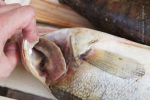 How to clean and cut carp at home