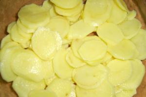 Ribe v pečici s krompirjem - najboljši preizkušeni recepti
